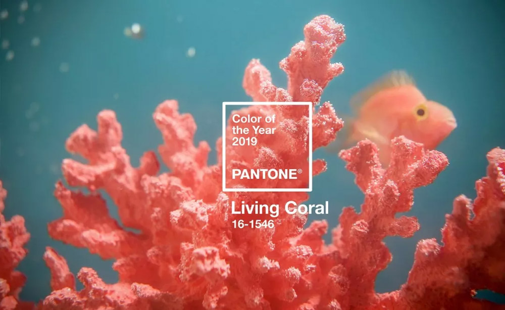 Pantone潘通发布2019年代表色流行色：pantone 16 1546 Living Coral活珊瑚橘 色彩管理网 8348